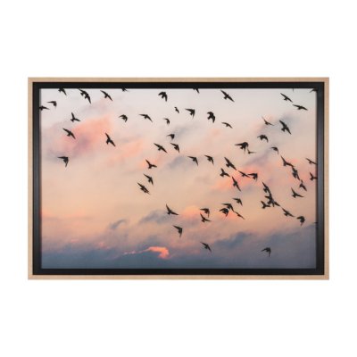 15157 - Evening Flight by Mercana Studio a Hand Embellished Textured Framed Photo Art Print Matted under Gla