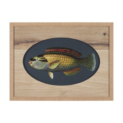 15160 - Scarus Ghobban by Mercana Studio a Hand Embellished Textured Framed Art Print Matted under Glass