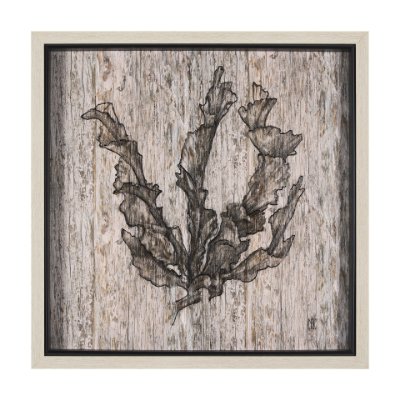 15205 - Wood Grain Sea Plant I by Mercana Studio a Hand Embellished Textured Framed Art Print