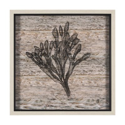 15206 - Wood Grain Sea Plant II by Mercana Studio a Hand Embellished Textured Framed Art Print