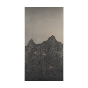 Raum Painted Monochrome w/ Acid Wash Metal Wall Art