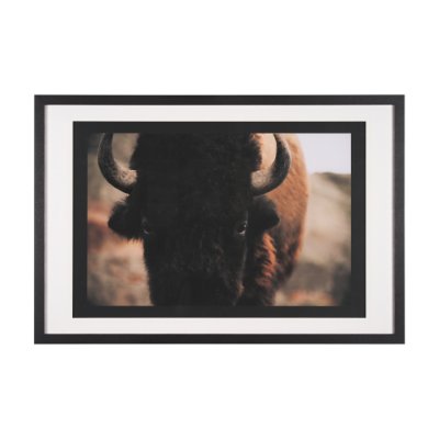 15215 - Stare Down by Chad Mackay a Hand Embelished Textured Framed Photo Art Print Matted under Glass