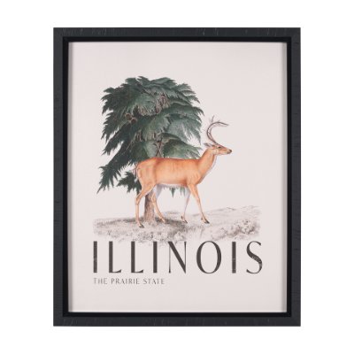 15364 - Travel Guide - Illinois by Vintage Collection a Hand Embellished Textured Framed Art Print