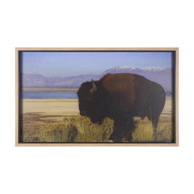 15370 - Antelope Island by Gary Blatter a Hand Embellished Textured Framed Photo Art Print