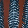 15380 - Nutmeg Fern 4 by Mary Margaret Briggs Hand Embellished Textured Framed Art Print Matted under Glass