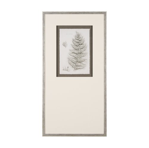 15425 - Fern Study II by Mercana Studio Hand Embelished Framed Art Print Matted under Glass