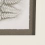 15425 - Fern Study II by Mercana Studio Hand Embelished Framed Art Print Matted under Glass