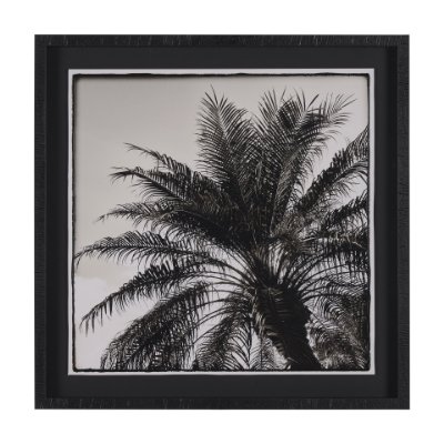 15534 - Palm Tree Sepia I by Debra Van Swearingen a Hand Embellished Framed Photo Art Print Matted under Gla