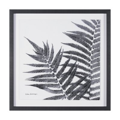 15537 - Aspire by Debra Van Swearingen a Hand Embellished Framed Photo Art Print Matted under Glass