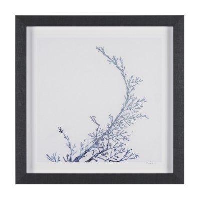 15547 - Evergreen Branches IV by Mercana Studio a Hand Embellished Framed Art Print Matted under Glass