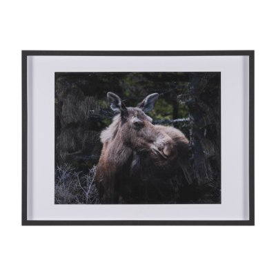 15622 - Cautious Gaze by Chad Mackay a Hand Embellished Framed Photo Art Print Matted under Glass
