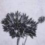 15710 - Wonderful Wildflowers XIV Neutral by Deborah Revell a Hand Embellished Framed Art Print Matted under