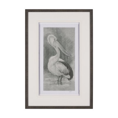 15752 - Pelican Sketch by Mercana Studio a Hand Embellished Framed Art Print Matted under Glass