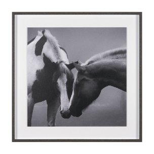 Horse Harmony - Caress by Laura Warren a Hand Embellished Framed Photo Art Print Matted under Glass