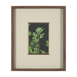 Green Growth by Michael Banks a Hand Embellished Framed Photo Art Print Matted under Glass