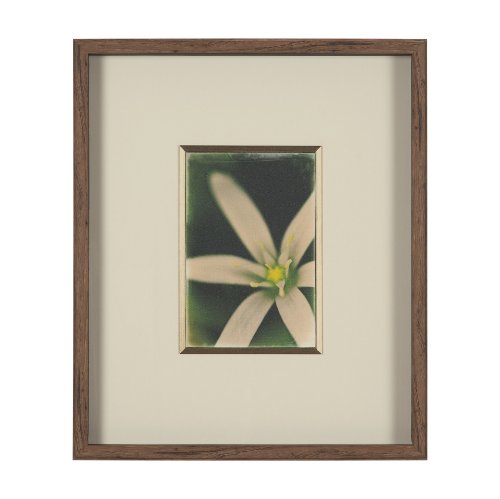 15802 - Floral Finesse by Michael Banks a Hand Embellished Framed Photo Art Print Matted under Glass