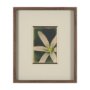 15802 - Floral Finesse by Michael Banks a Hand Embellished Framed Photo Art Print Matted under Glass