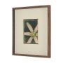 15802 - Floral Finesse by Michael Banks a Hand Embellished Framed Photo Art Print Matted under Glass