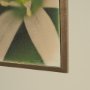 15802 - Floral Finesse by Michael Banks a Hand Embellished Framed Photo Art Print Matted under Glass