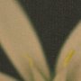 15802 - Floral Finesse by Michael Banks a Hand Embellished Framed Photo Art Print Matted under Glass
