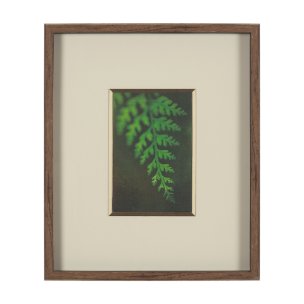 Leaf Charm by Michael Banks a Hand Embellished Framed Photo Art Print Matted under Glass