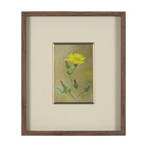 Floral Bliss by Michael Banks a Hand Embellished Framed Photo Art Print Matted under Glass
