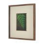15804 - Floral Bliss by Michael Banks a Hand Embellished Framed Photo Art Print Matted under Glass