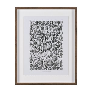 Sealife II by Oliver Goldsmith a Hand Embellished Framed Art Print Matted under Glass