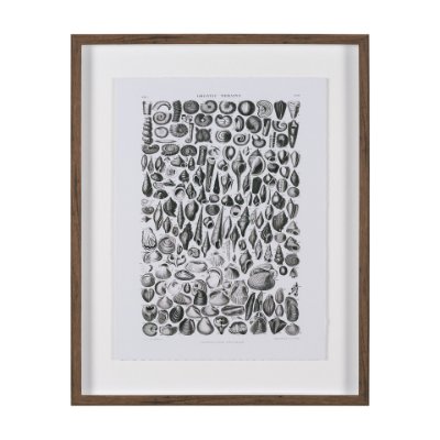 15809 - Sealife II by Oliver Goldsmith a Hand Embellished Framed Art Print Matted under Glass