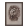 15763 - Portrait of a Thoroughbred I by Mercana Studio a Framed Art Print Matted under Glass