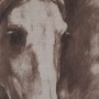 15763 - Portrait of a Thoroughbred I by Mercana Studio a Framed Art Print Matted under Glass