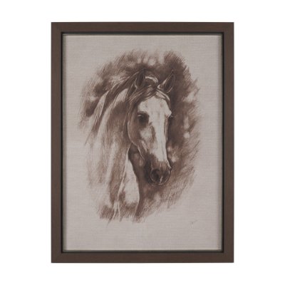 15764 - Portrait of a Thoroughbred II by Mercana Studio a Framed Art Print Matted under Glass