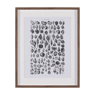 Sealife III by Oliver Goldsmith a Hand Embellished Framed Art Print Matted under Glass