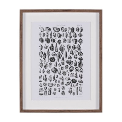 15810 - Sealife III by Oliver Goldsmith a Hand Embellished Framed Art Print Matted under Glass
