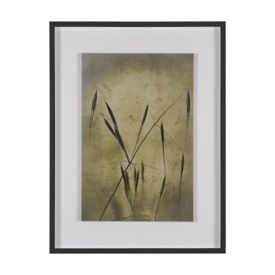 15814 - Botany Blades by Michael Banks a Hand Embellished Framed Photo Art Print Matted under Glass