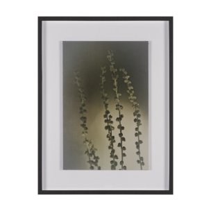 Hanging Delight by Michael Banks a Hand Embellished Framed Photo Art Print Matted under Glass