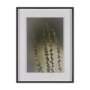15815 - Hanging Delight by Michael Banks a Hand Embellished Framed Photo Art Print Matted under Glass