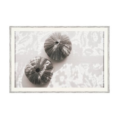 15805 - Urchins in Lace I by Deborah Revell a Hand Embellished Framed Print under Glass