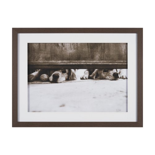 15818 - We See You Dogs by Jim Dratfield Framed Photo Print under Glass