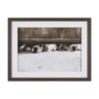 15818 - We See You Dogs by Jim Dratfield Framed Photo Print under Glass