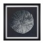 15829 - Urchin Still Life II by Nathan Larson a Hand Embellished Framed Photo Art Print Matted under Glass