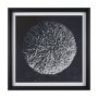 15831 - Urchin Still Life IV by Nathan Larson a Hand Embellished Framed Photo Art Print Matted under Glass