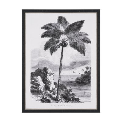 102681-FS - Vintage Palm Tree Drawing I by Les Palmiers Histoire Embellished Textured Framed Canvas