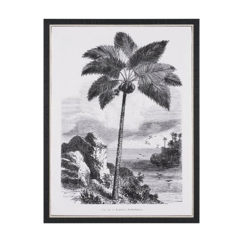 102681-FS - Vintage Palm Tree Drawing I by Les Palmiers Histoire Embellished Textured Framed Canvas