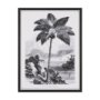102681-FS - Vintage Palm Tree Drawing I by Les Palmiers Histoire Embellished Textured Framed Canvas