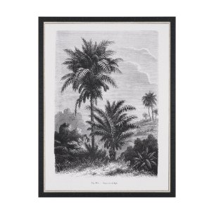 Vintage Palm Tree Drawing V by Les Palmiers Histoire a Hand Embellished Textured Framed Canvas