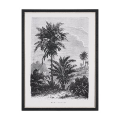 102682-FS - Vintage Palm Tree Drawing V by Les Palmiers Histoire a Hand Embellished Textured Framed Canvas