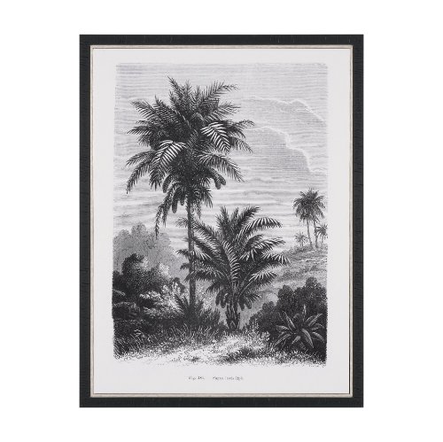 102682-FS - Vintage Palm Tree Drawing V by Les Palmiers Histoire a Hand Embellished Textured Framed Canvas