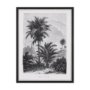 102682-FS - Vintage Palm Tree Drawing V by Les Palmiers Histoire a Hand Embellished Textured Framed Canvas