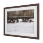 15818 - We See You Dogs by Jim Dratfield Framed Photo Print under Glass